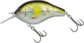 Amazon.co.jp: Nories（ノリーズ） マルノミフラット60 MARUNOMI FLAT